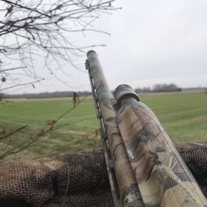 Meet your Posher, Patrick